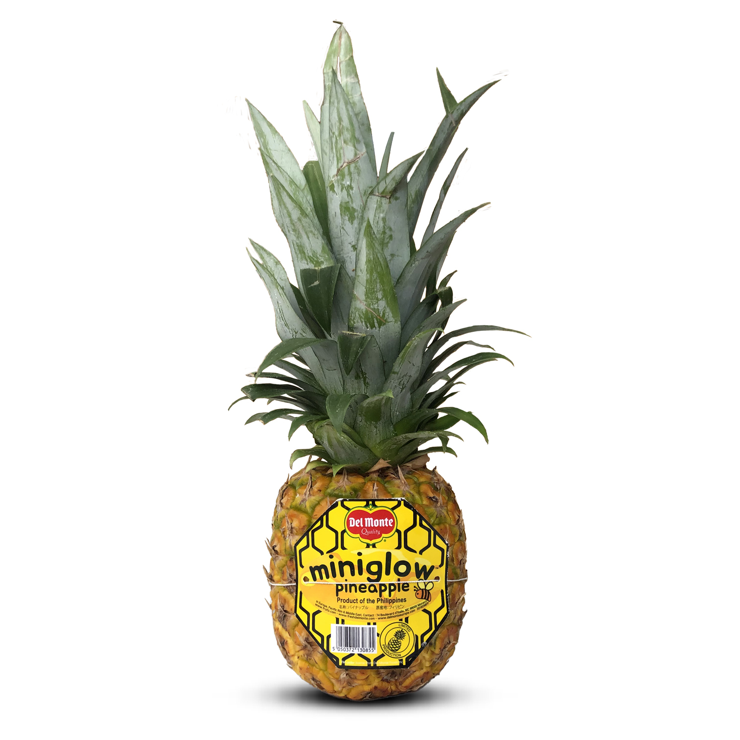 Philippines Del Monte Miniglow Pineapple [1pc]