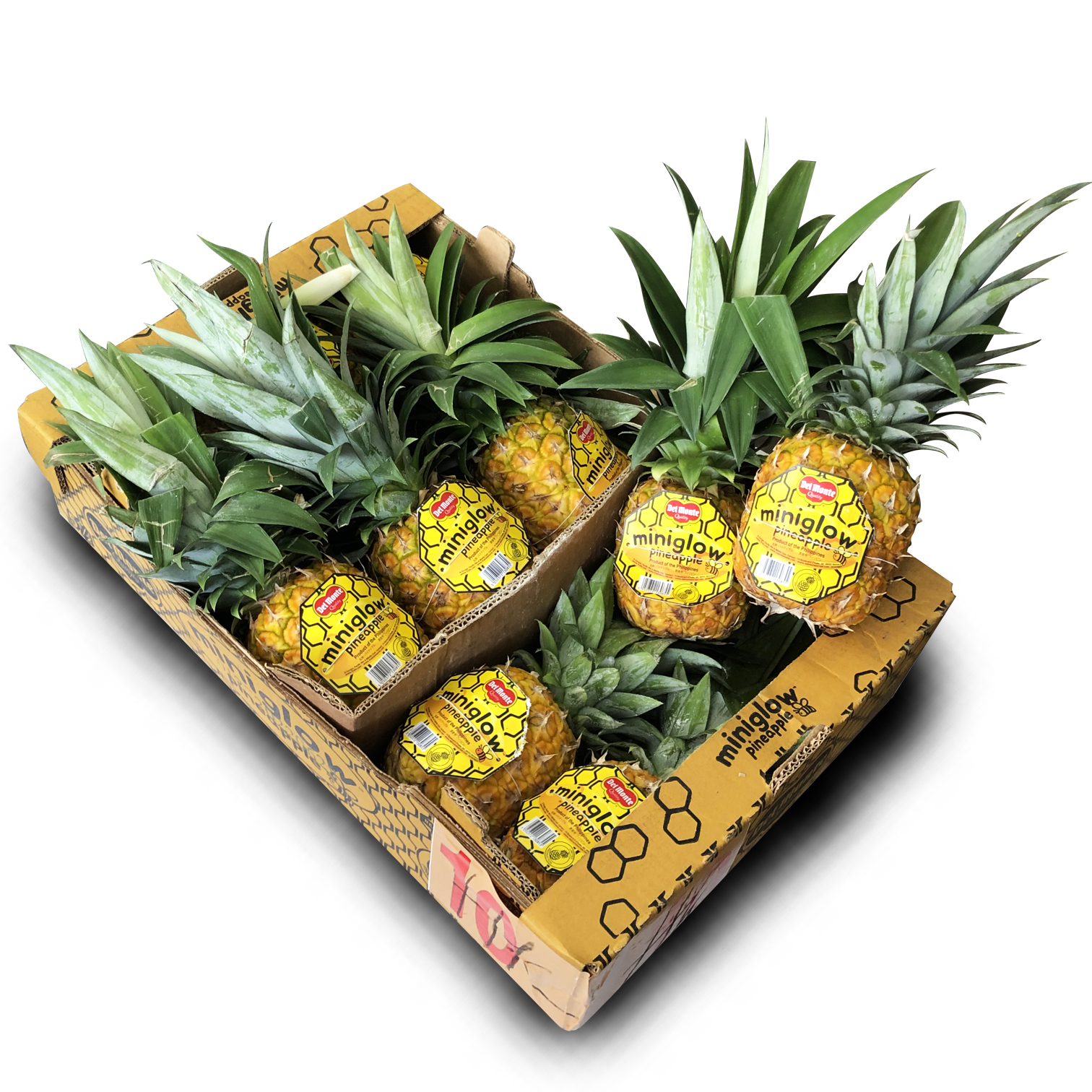 菲律賓 地捫 Miniglow 菠蘿 [原箱|需預訂]