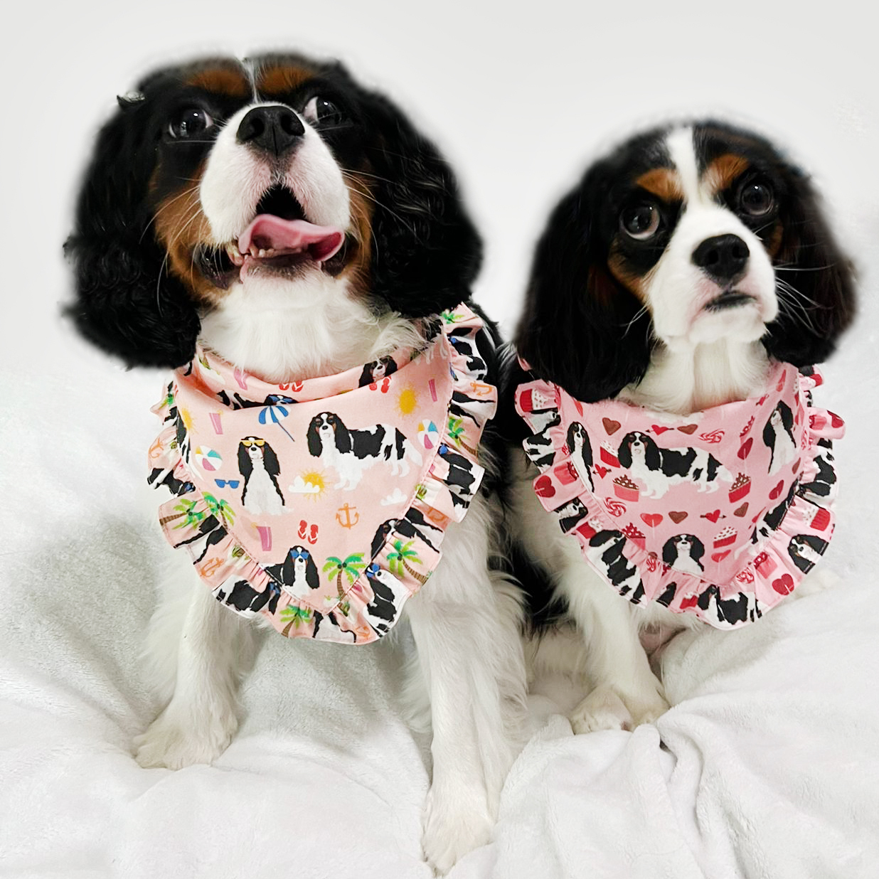 *Wholesale Only* Cavalier King Charles Spaniel Pattern Ruffles Scarf