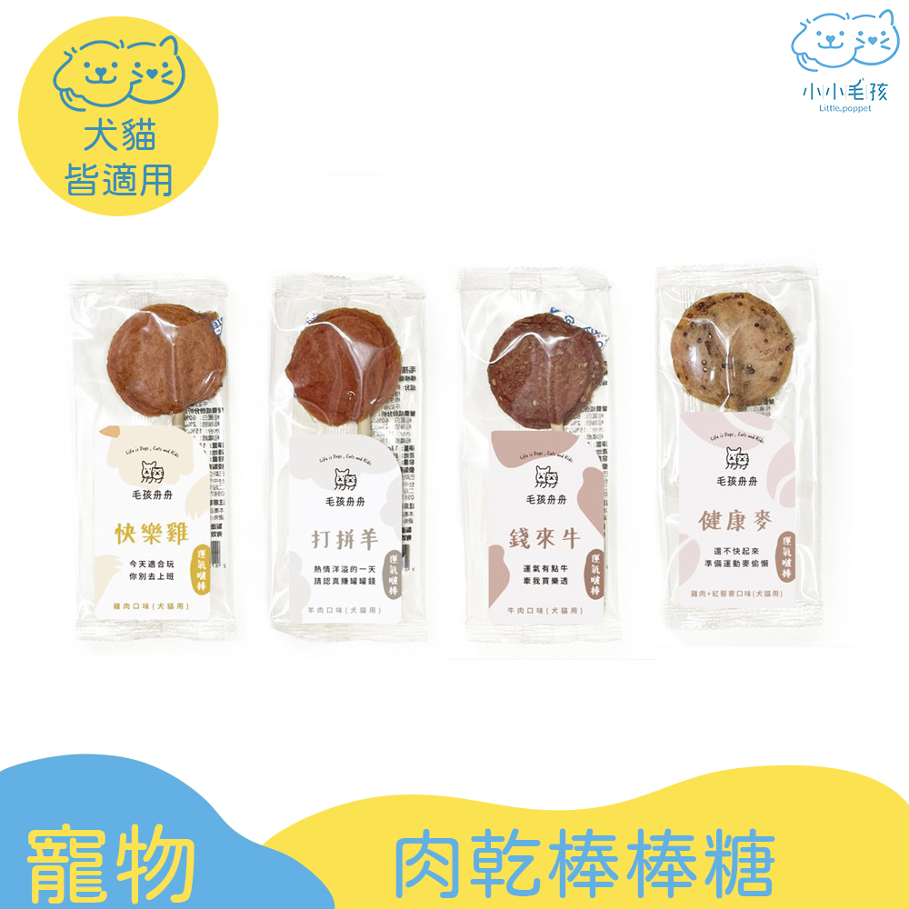 毛孩舟舟 寵物肉乾棒棒糖 13g /口味隨機【小小毛孩】