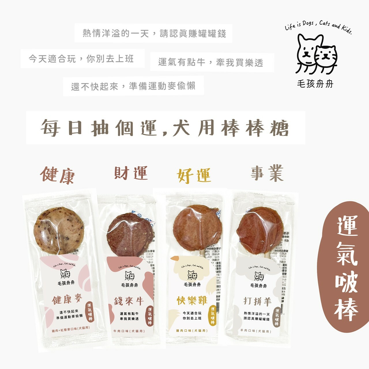 毛孩舟舟 寵物肉乾棒棒糖 13g /口味隨機【小小毛孩】