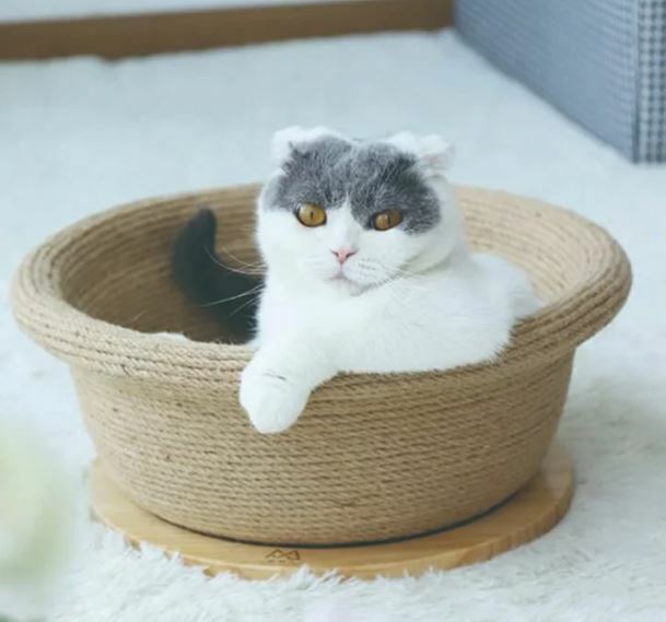 【FD.Cattery 喵仙兒】黃麻劍麻盆抓窩 貓抓窩 貓窩