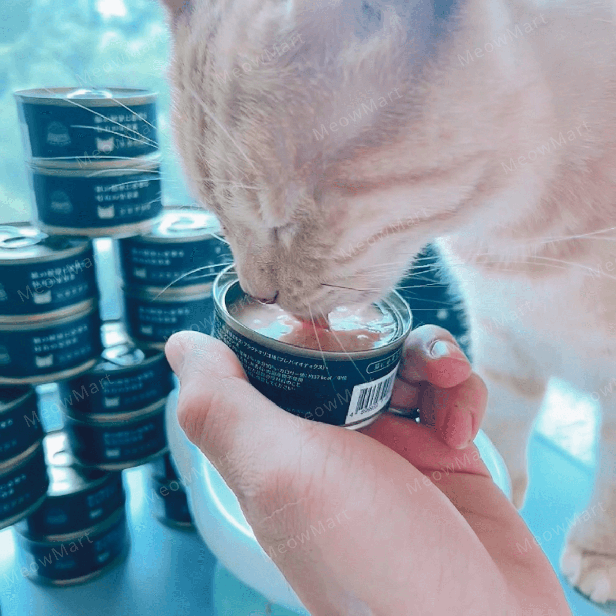 Pet Cake Factory [医療費削減] 養生系列｜雞肉 ・ 鰹魚 ・ 扇貝 貓罐頭 85g