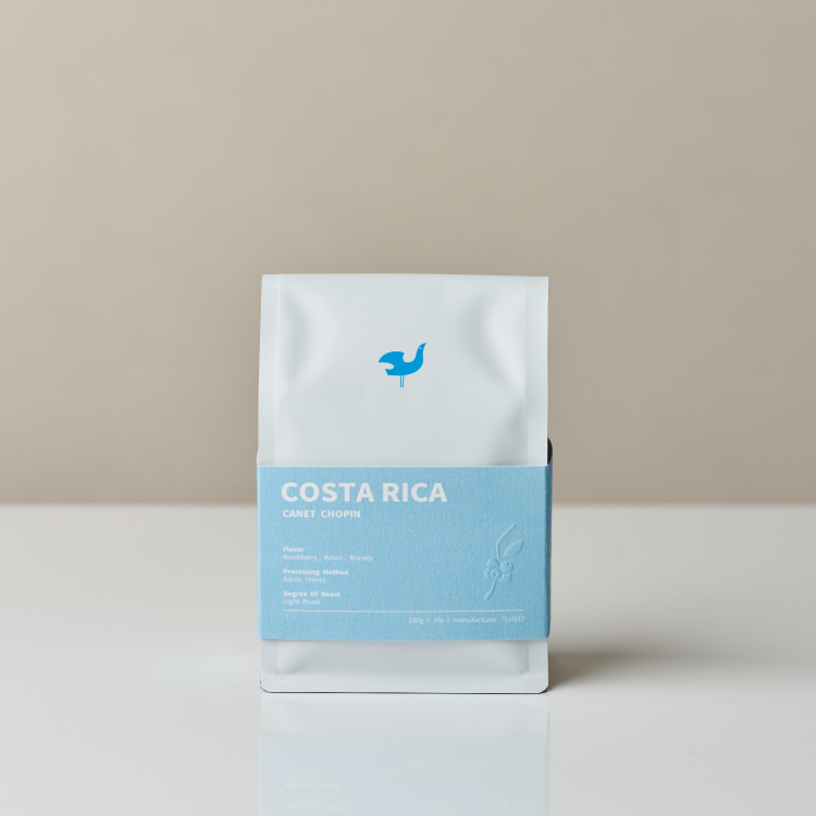 黑莓白蘭地調 哥斯大黎加 蜜處理 蕭邦