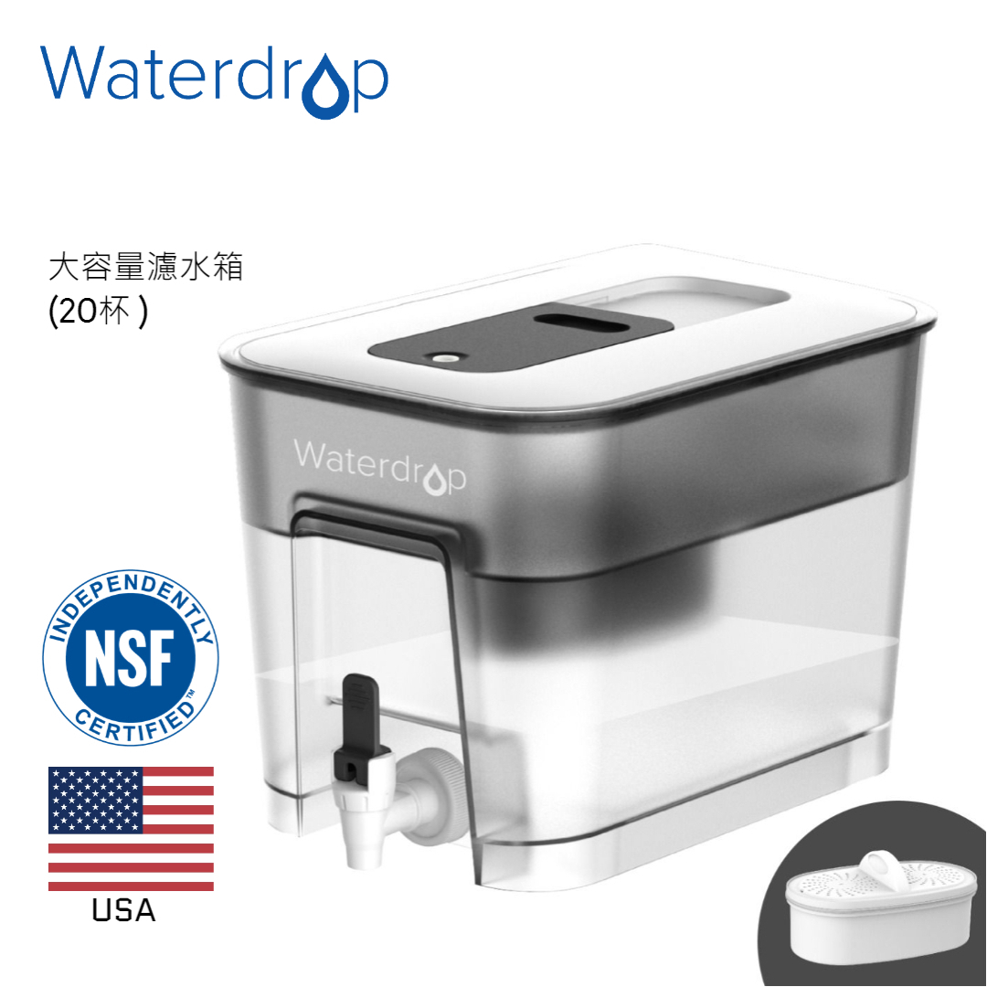 Water Filtration Dispenser (20Cups) WD-WFD-22L