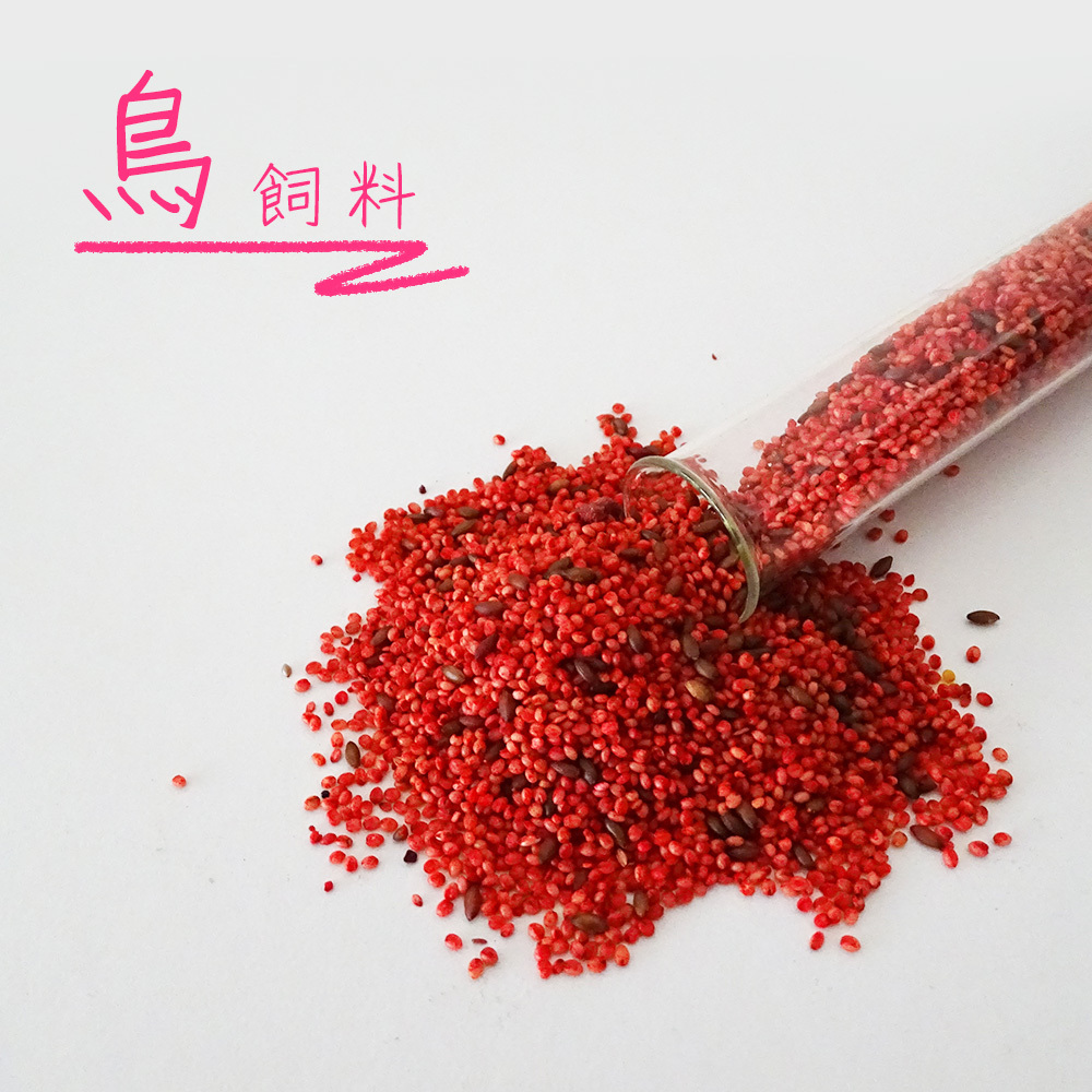 台灣美光 愛鳥營養補給飼料T066 高級蔬菜蛋黃紅栗 1包