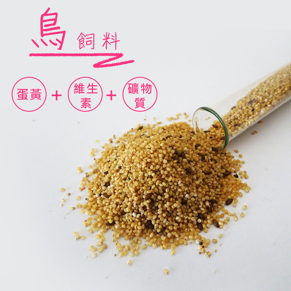 美光 強力賜美健08 蛋黃粟特級飼料 1包