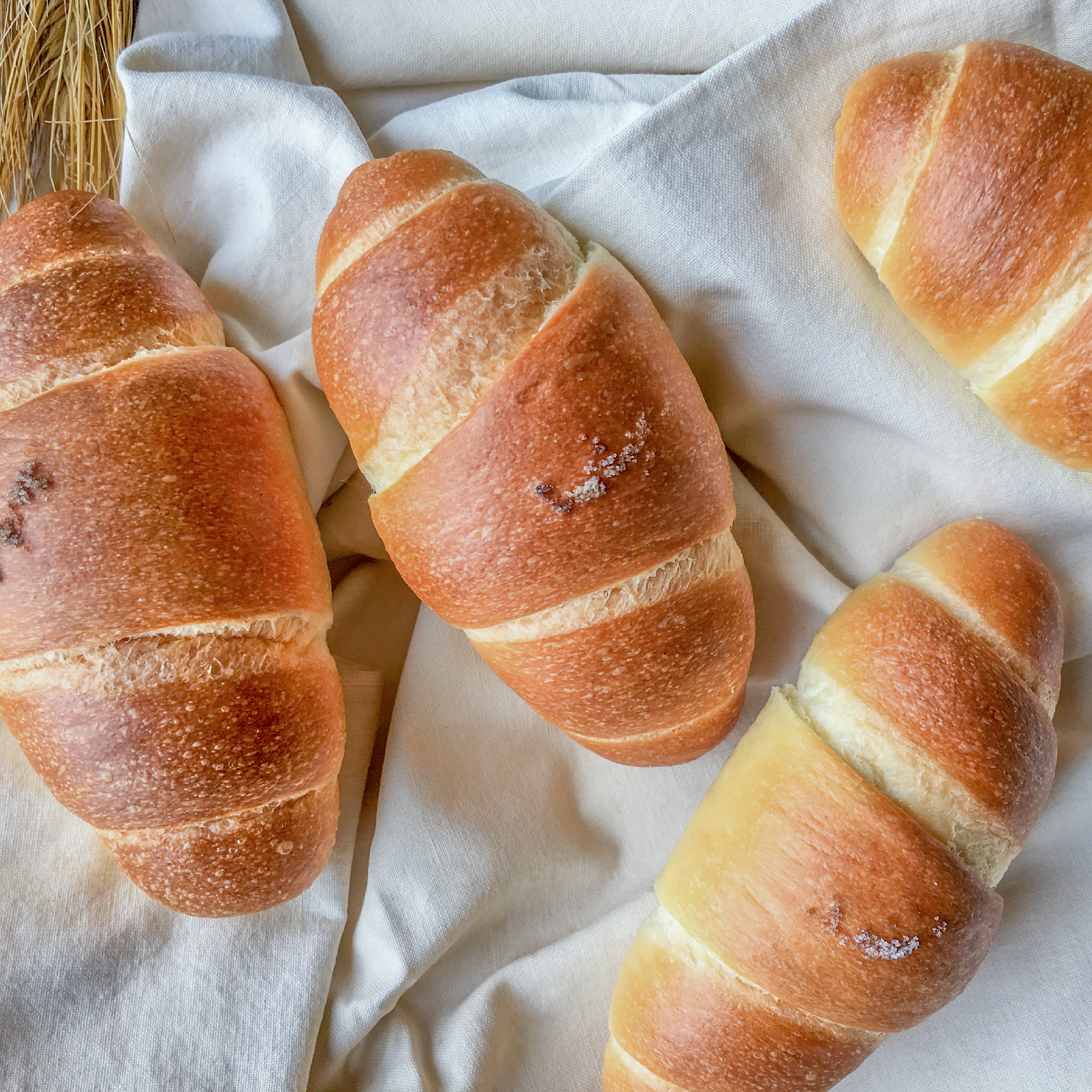 法國鹽之花奶油湯種捲/ 5入【3/6週五出爐】