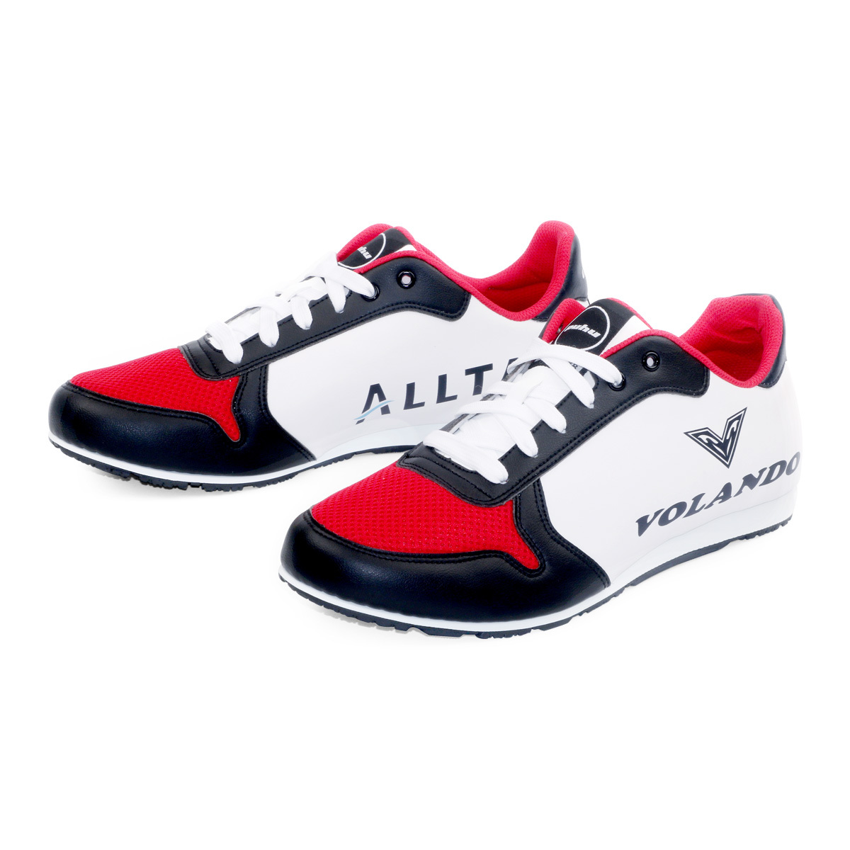 大田精密工業 / 彪琥客製鞋服務 客戶案例