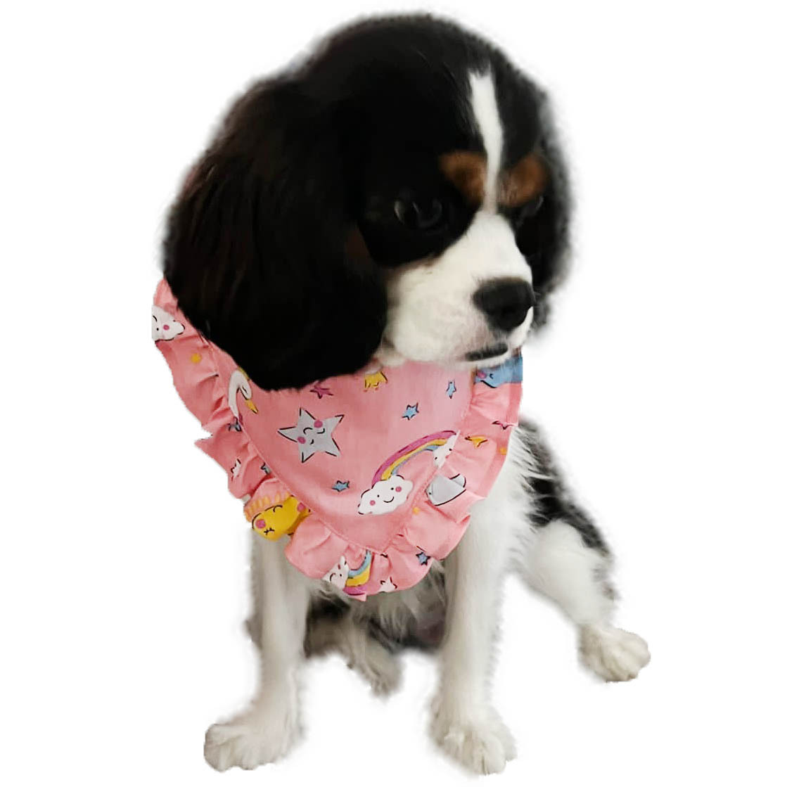 Pet Daily Ruffles Scarf