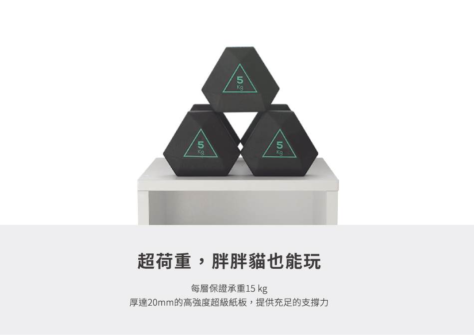 台灣 Angle Wave 巧拼貓屋