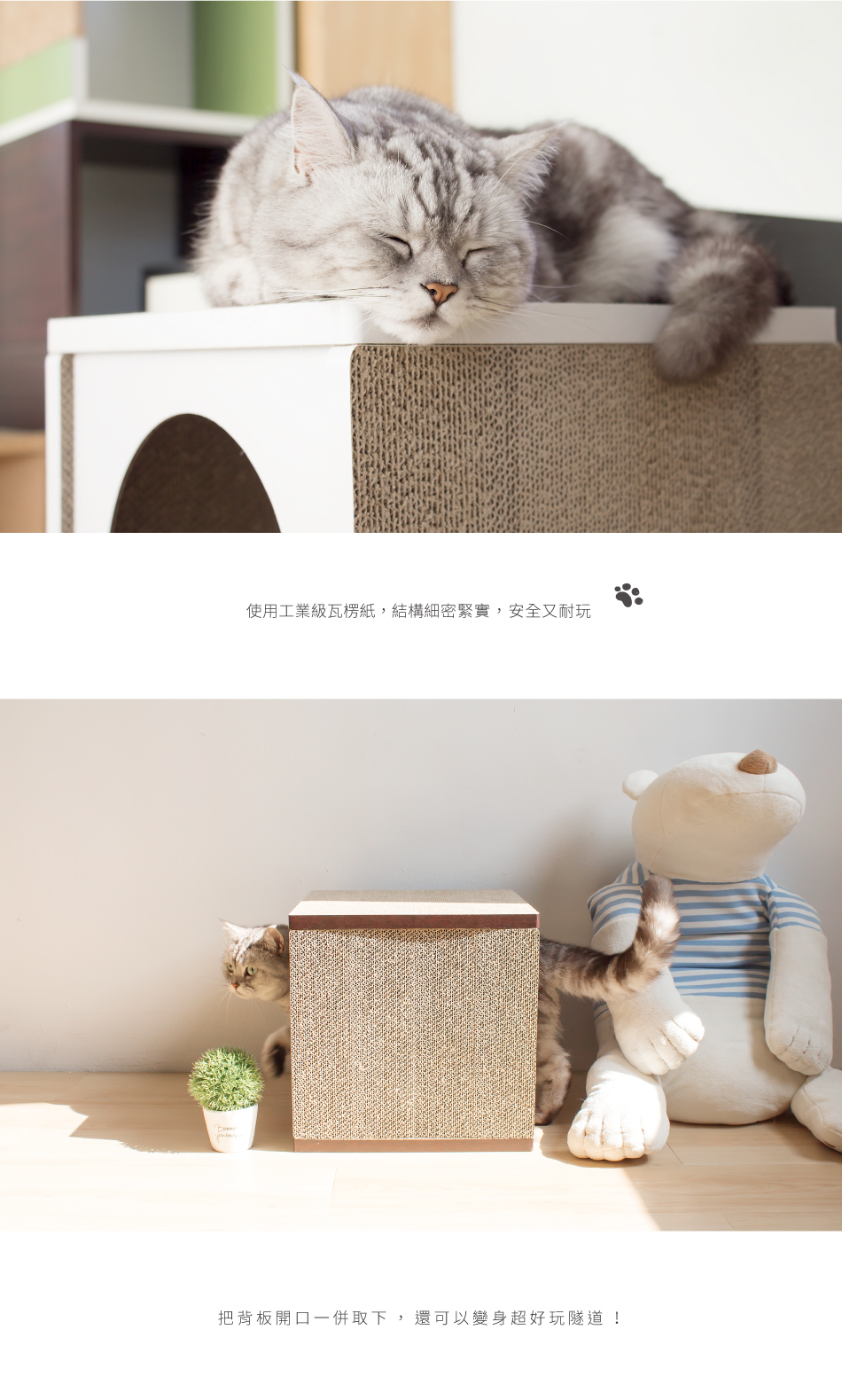 台灣 Angle Wave 好舒壓貓屋｜360°貓抓屋 (胡桃木)