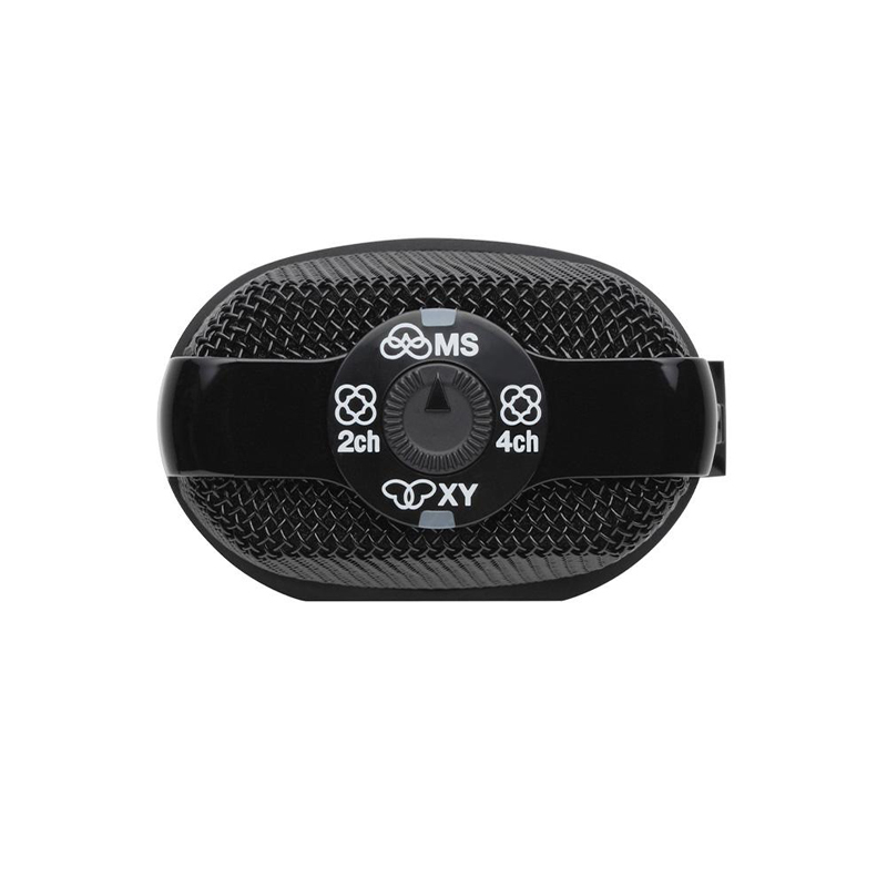 ZOOM H2n 手持式數位隨身錄音筆