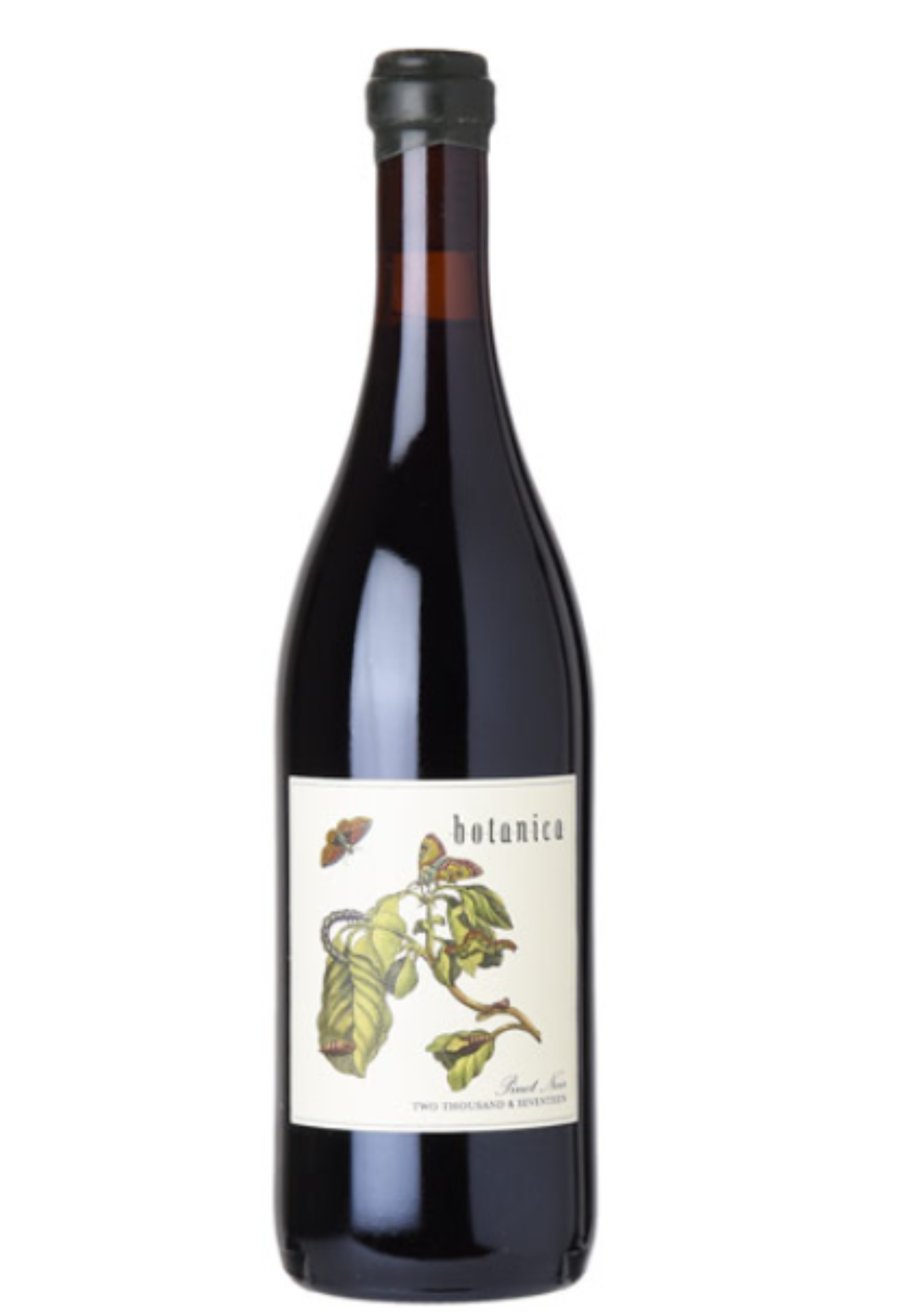 Antica Terra Botanica Pinot Noir 2021*