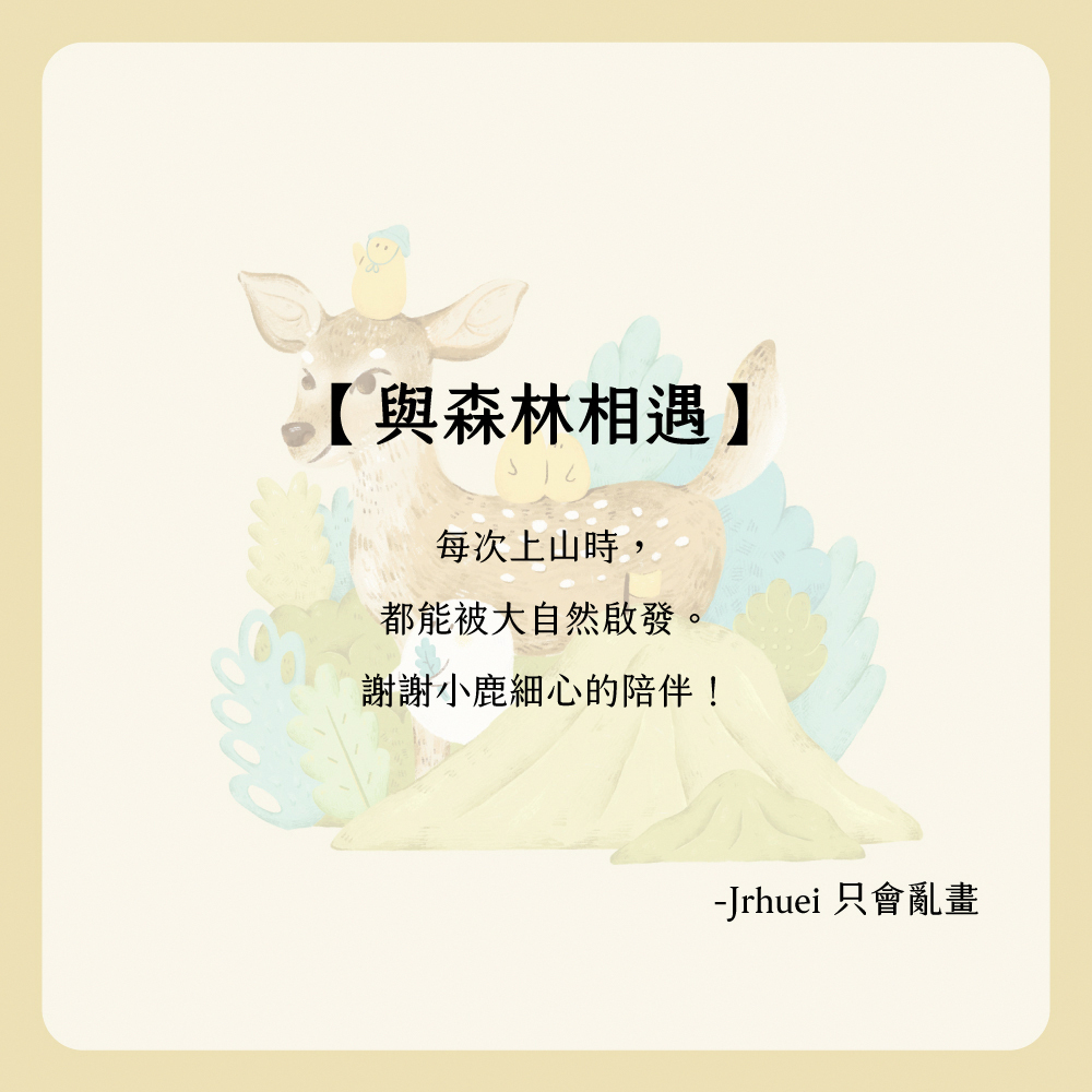 【Knocky x 只會亂畫】『與森林相遇』iPad 平板保護殼 (三折式/硬底軟邊/右側筆槽)