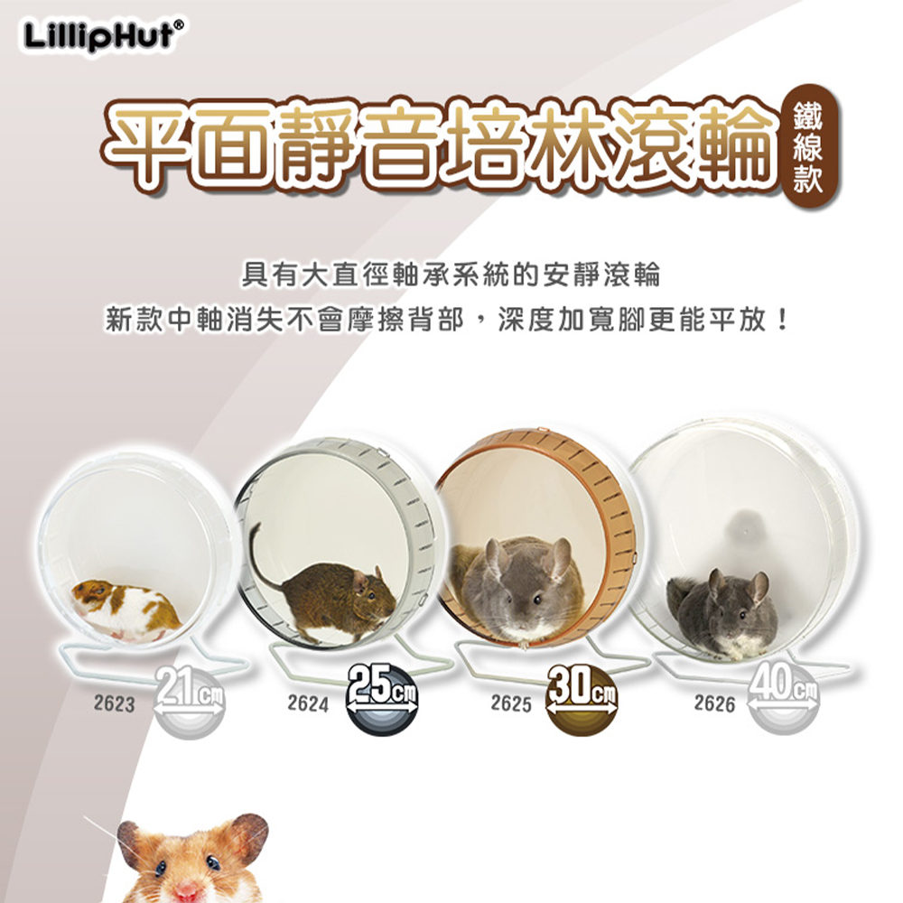 【LillipHut麗利寶】21公分/25公分/30公分/40公分平面靜音培林滾輪 -鐵線款 小動物滾輪 龍貓刺蝟滾輪