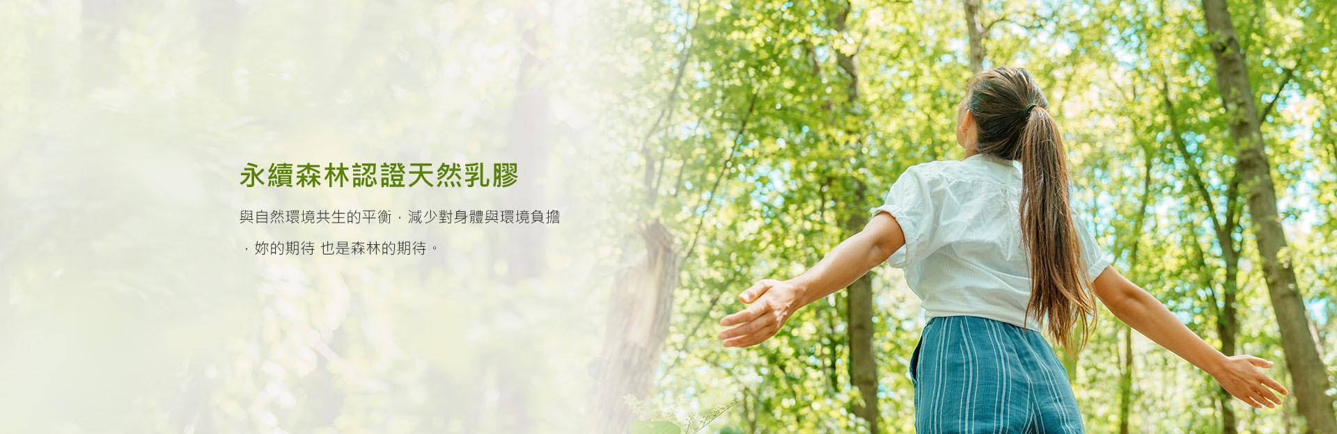 FSC永續森林認證天然乳膠