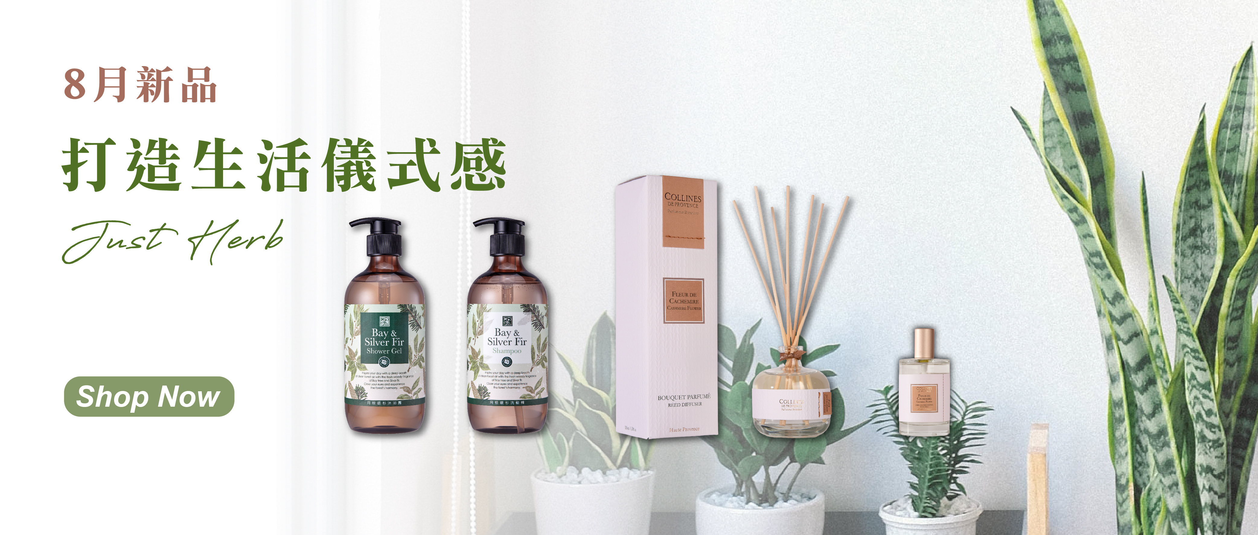 香草集新品上市｜享受花草茶與精油的香氛生活