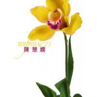 百花齊放 - 陳慧嫻 PRISCILLA CHAN 3CD