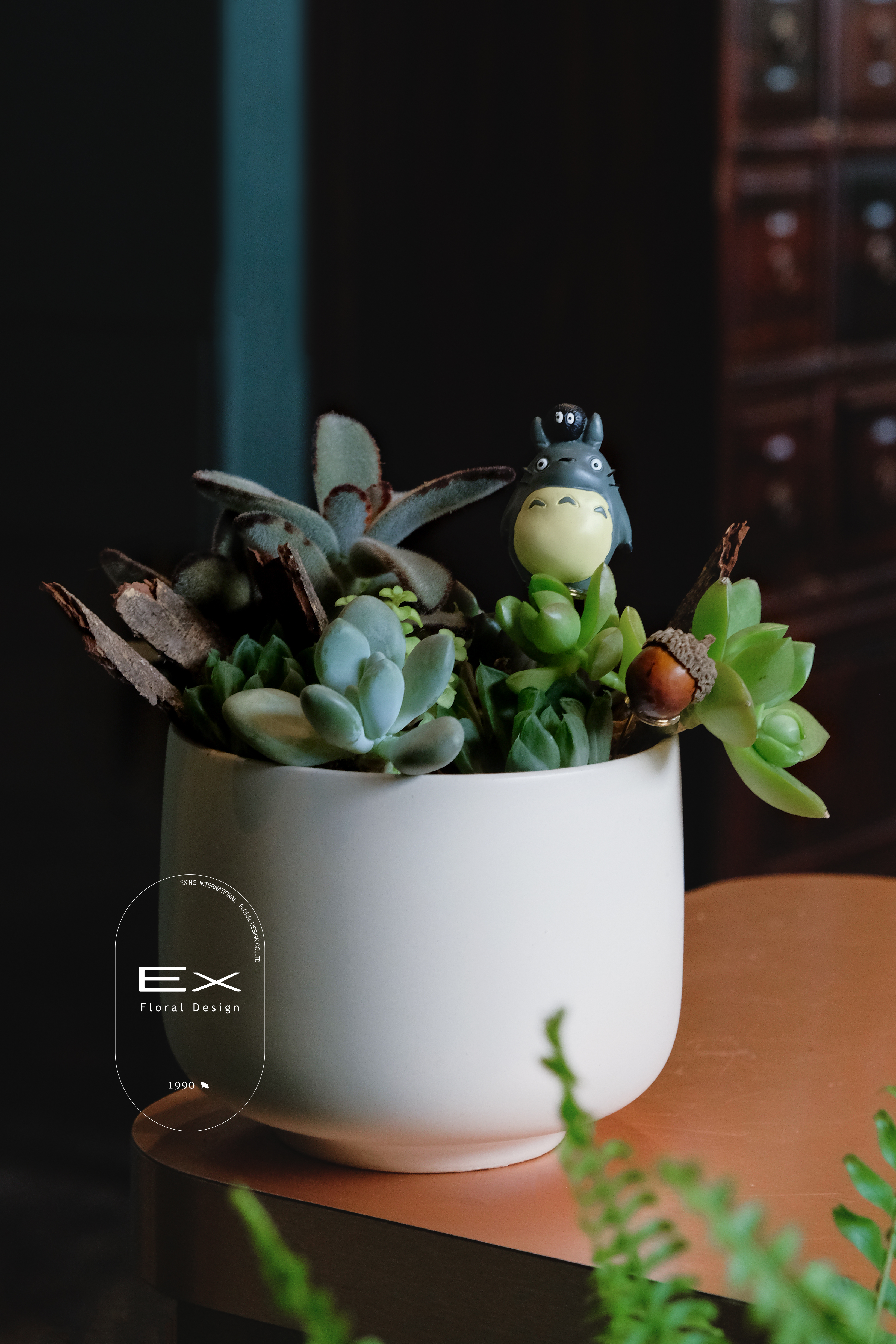 荳荳龍 TO.TO.RO〈 多肉植物 〉