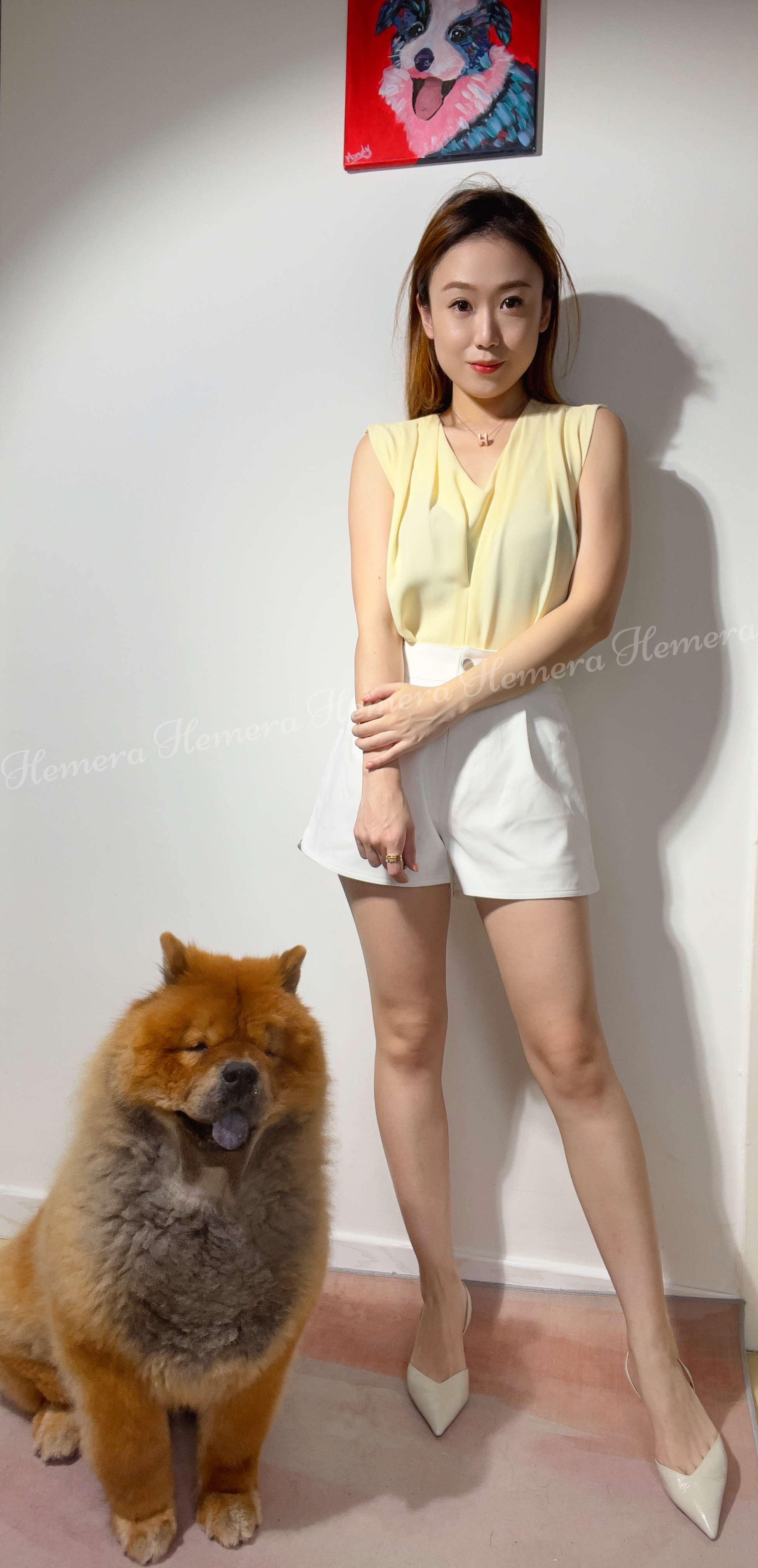 V-Cut Chiffon Working Top TP22S0747