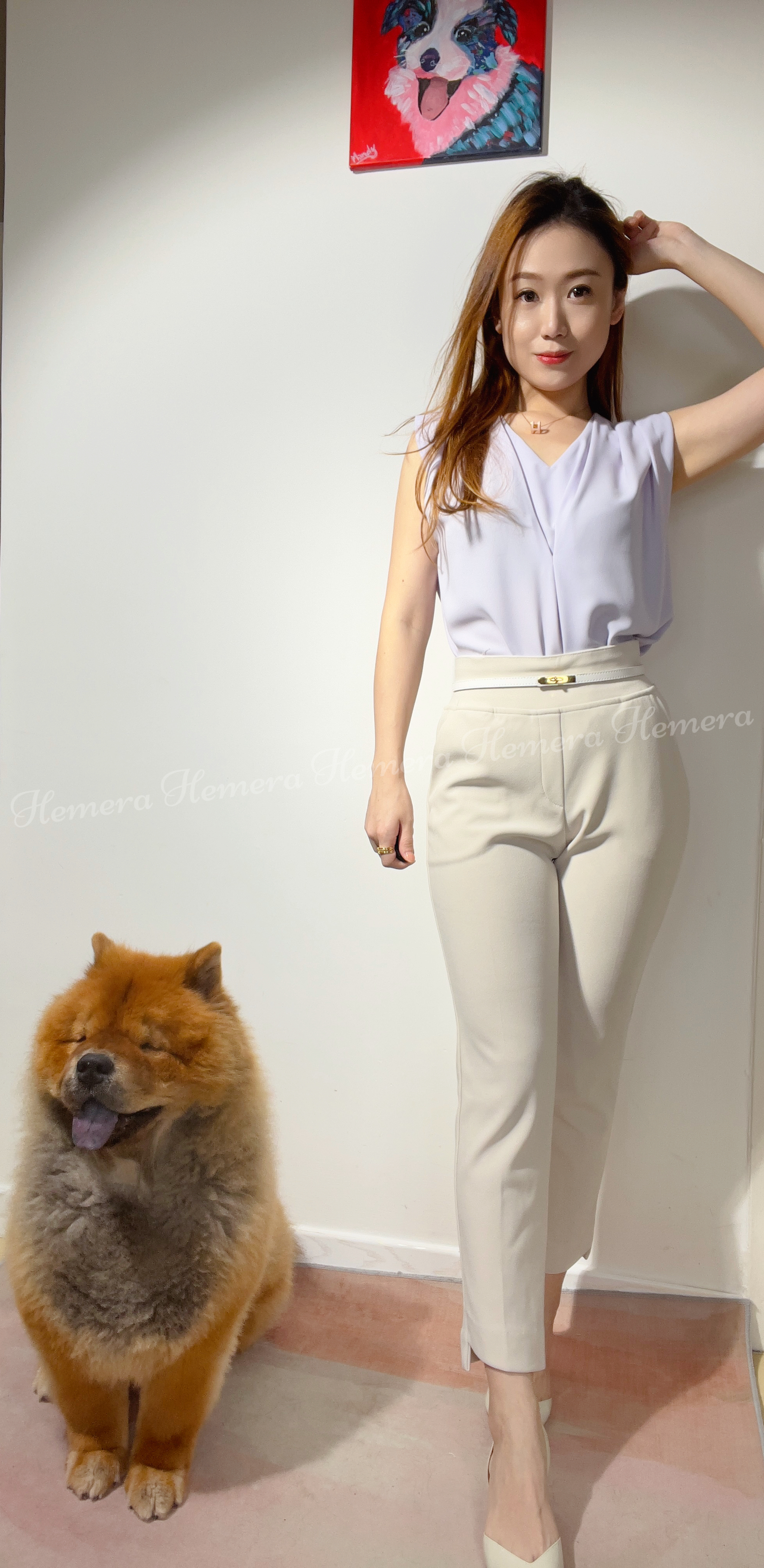 V-Cut Chiffon Working Top TP22S0747