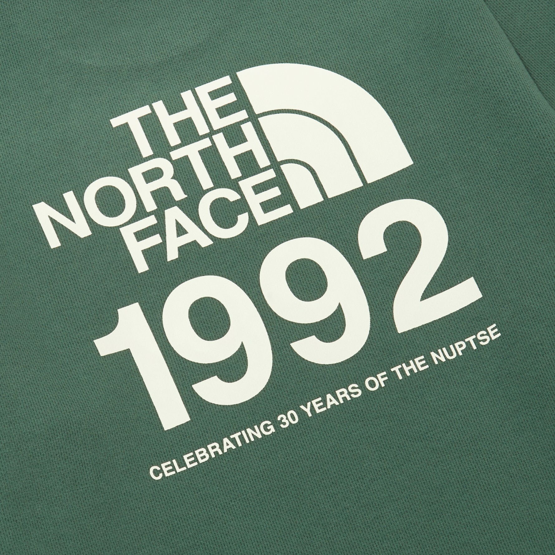 THE NORTH FACE VERSATILE 1992 長袖 衛衣 大學T 綠 NM5MN53B