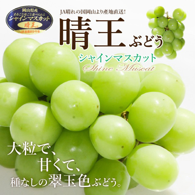 岡山晴王葡萄 5KG 8-19房