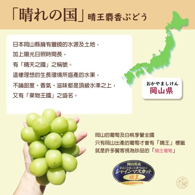 岡山晴王葡萄 5KG 8-19房