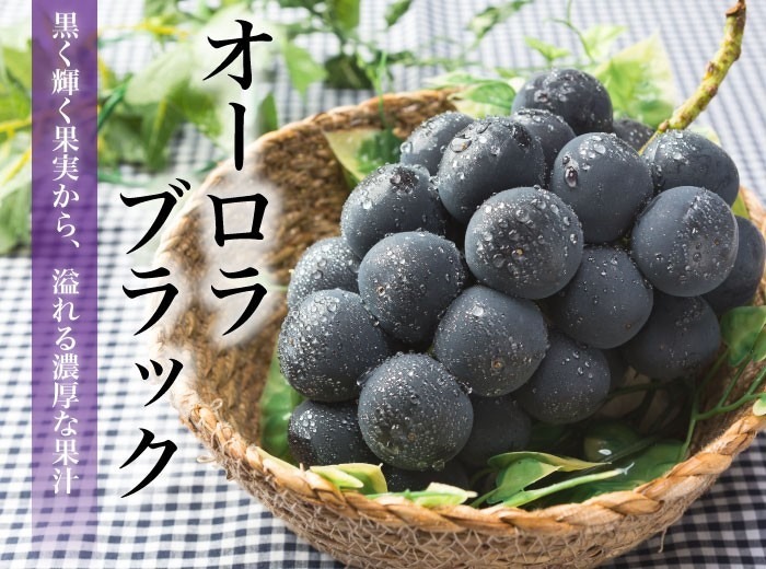 岡山黑極光葡萄 Aurora Black 5KG 7-10房