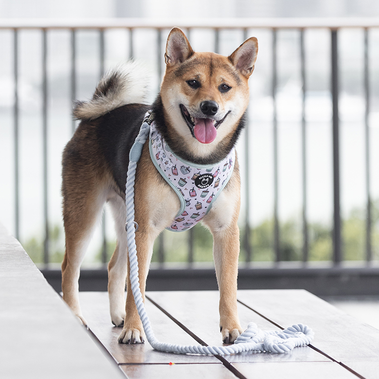 HIKERS AND HOUNDS Harness 可調式胸帶 珍珠奶茶．XXS~L