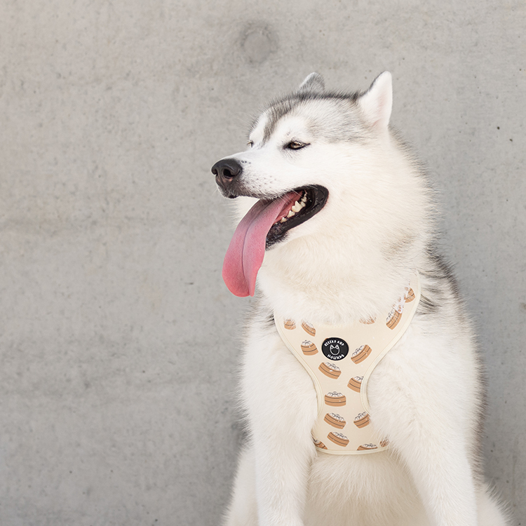 HIKERS AND HOUNDS Harness 可調式胸帶 點心．XXS~L