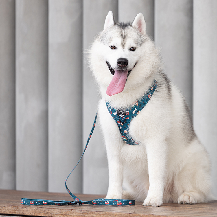 HIKERS AND HOUNDS Harness 可調式胸帶 咖啡店．XXS~L