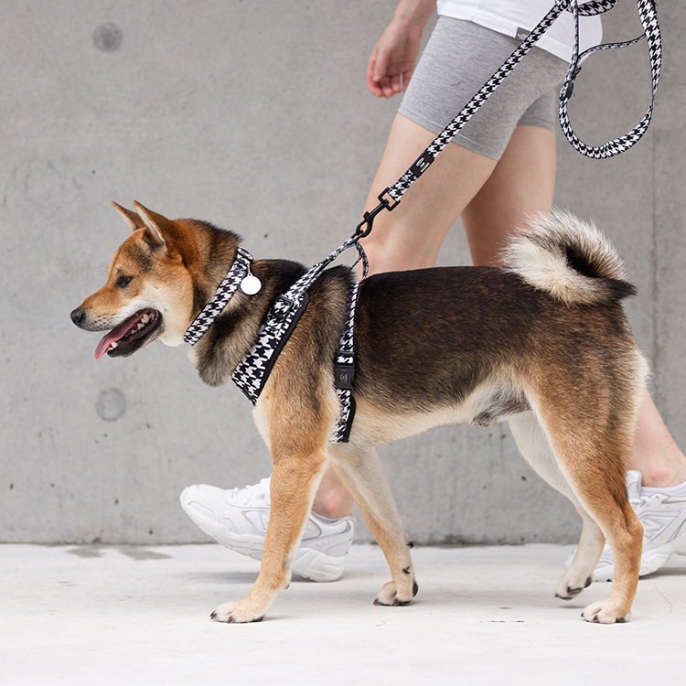 HIKERS AND HOUNDS Collar 頸帶 黑白格．XXS~L