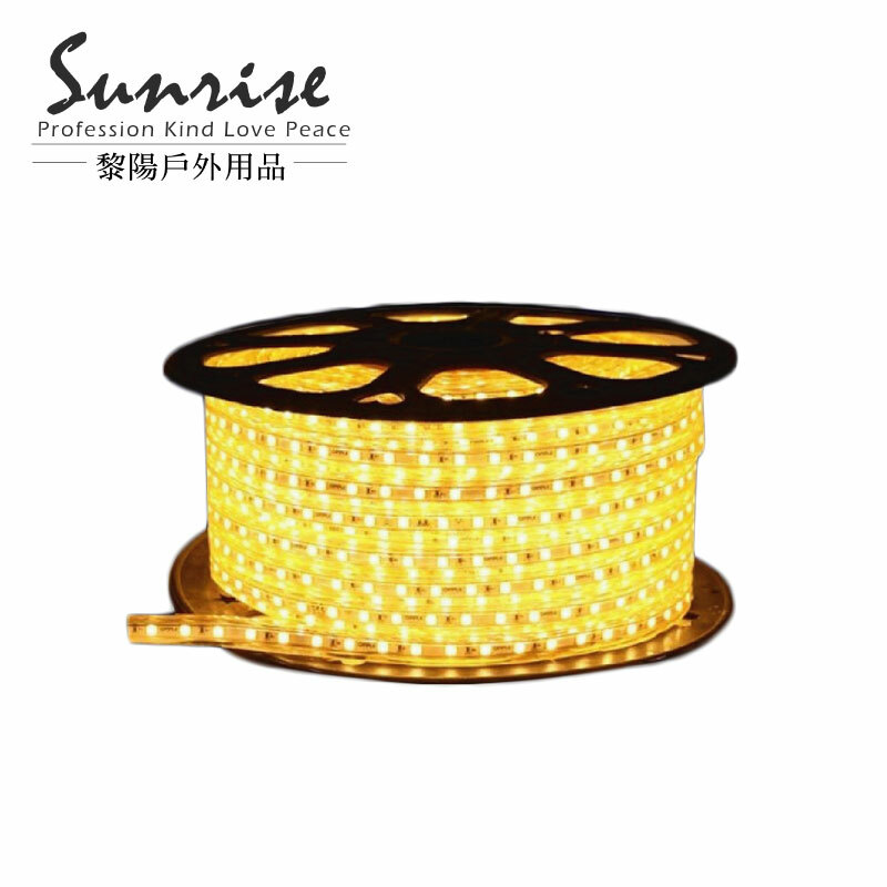 10米燈條附三米調光器 黃光 照明/氣氛/活動/夜間戶外裝飾 89CPA4012C