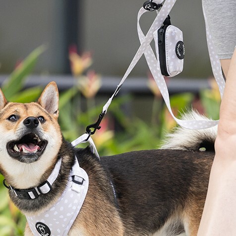 HIKERS AND HOUNDS Poop Bag Holders 拾便袋 米白波點