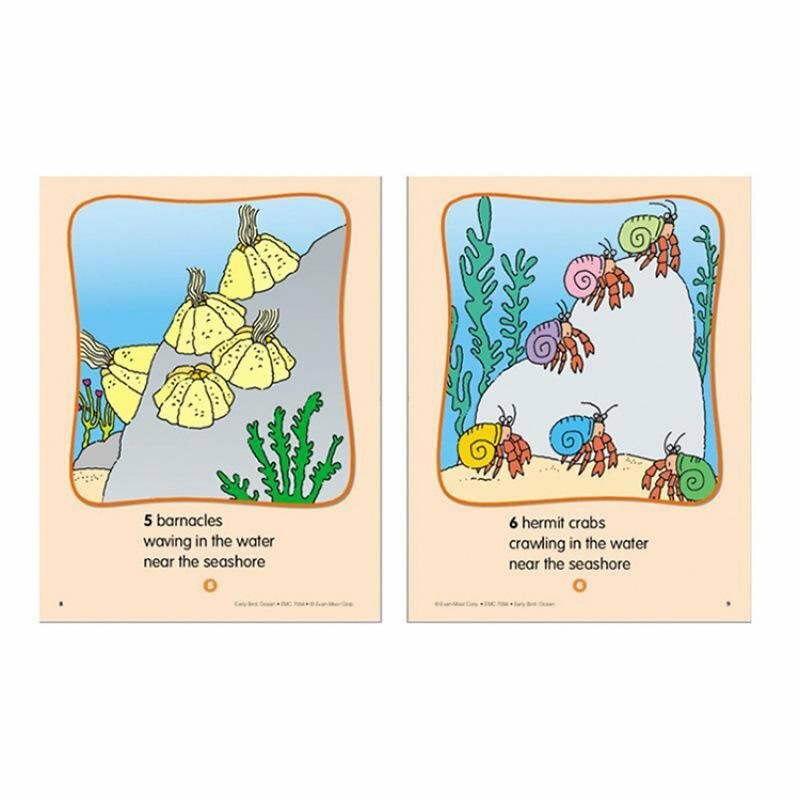 新品　英語 Evan moor early bird シリーズ 8冊 セット Evan-Moor Evan Moor Early Bird Series (8 Books)
