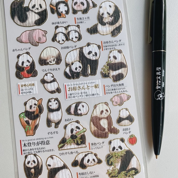 熊貓 大人的圖鑑 金箔壓印手帳貼紙｜日本Kamio