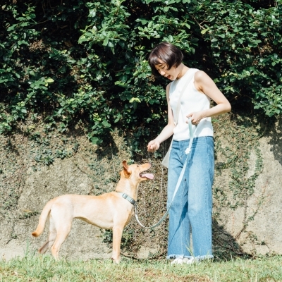 Tails&Me 尼龍頸圈 - 粉橘薄荷