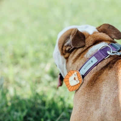 Tails&Me 尼龍頸圈 - 深紫灰紫