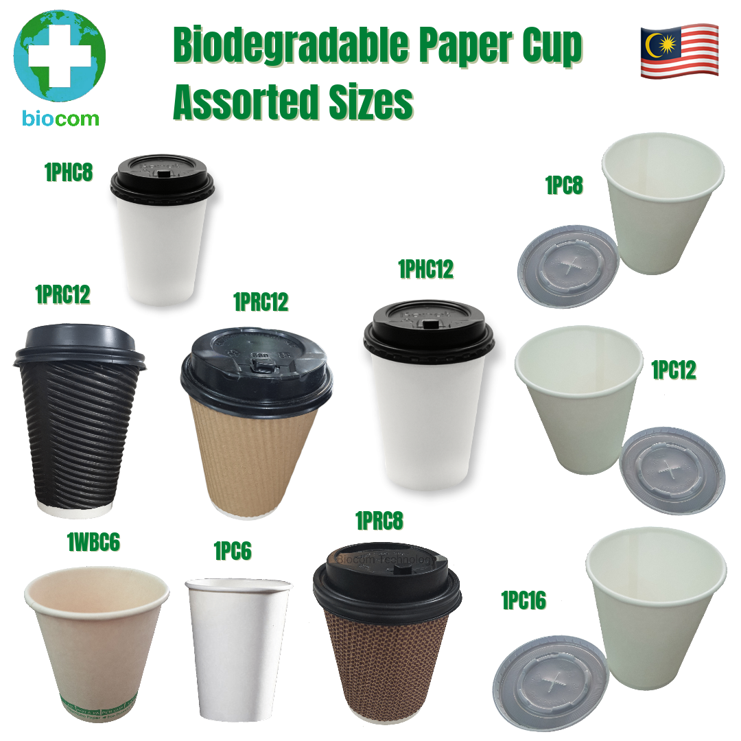 Biodegradable Paper Ripple Cup 12oz With Lid