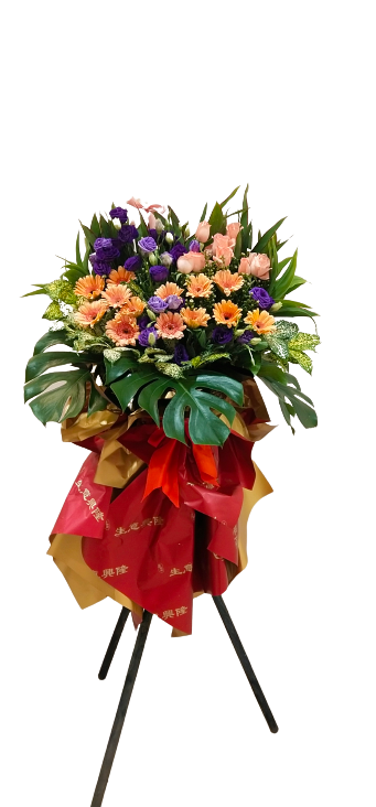 Grand Opening - GO30