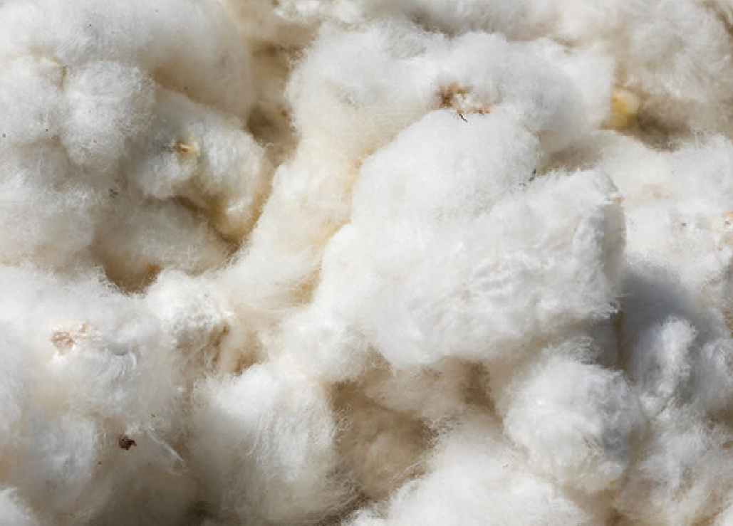 現今，由於服飾業是世界上資源需求最大的行業之一，也是最大的污染者之一，因此生產品質優良的服裝也是您可以為環境盡一份心力的方法。事實證明，製造經久耐用的衣服不僅對消費者有益，而且對環境也有著極大的幫助。