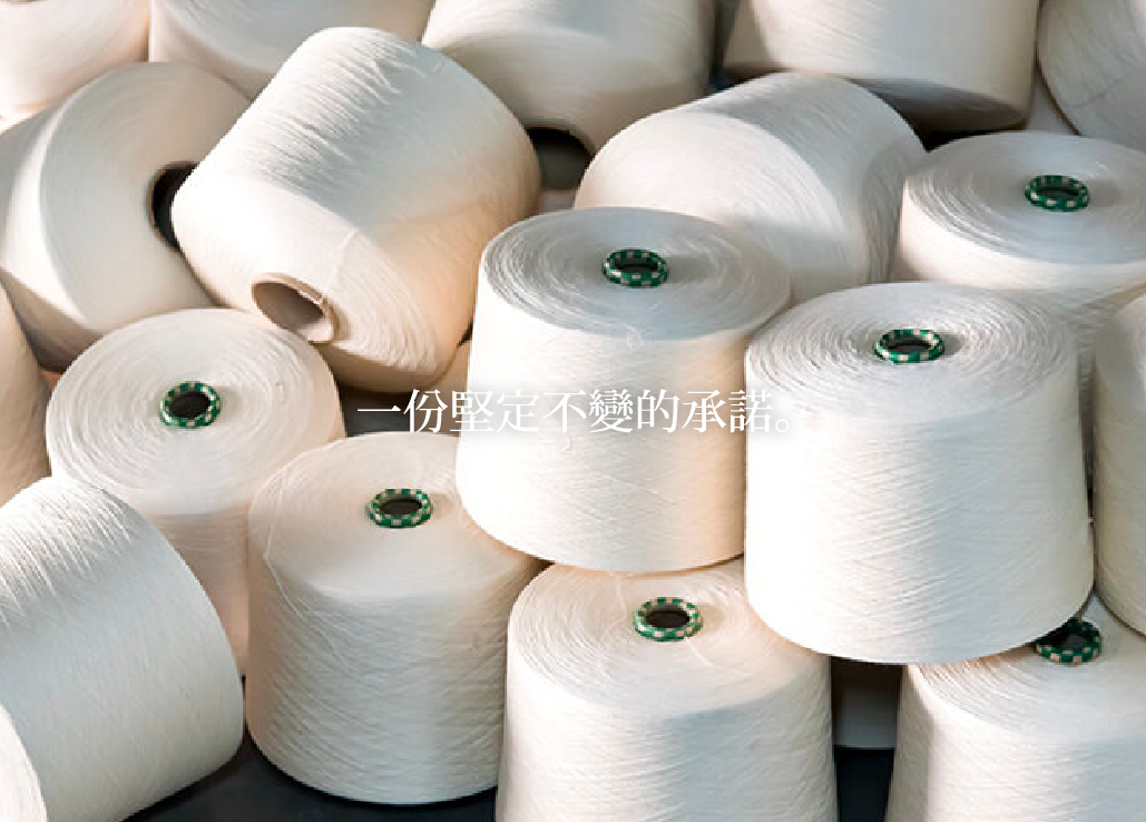 一份堅定不變的承諾。