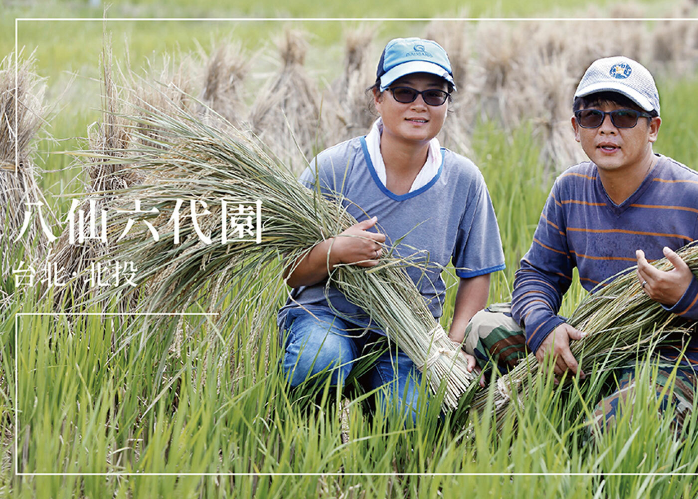 Green Media 預覽圖