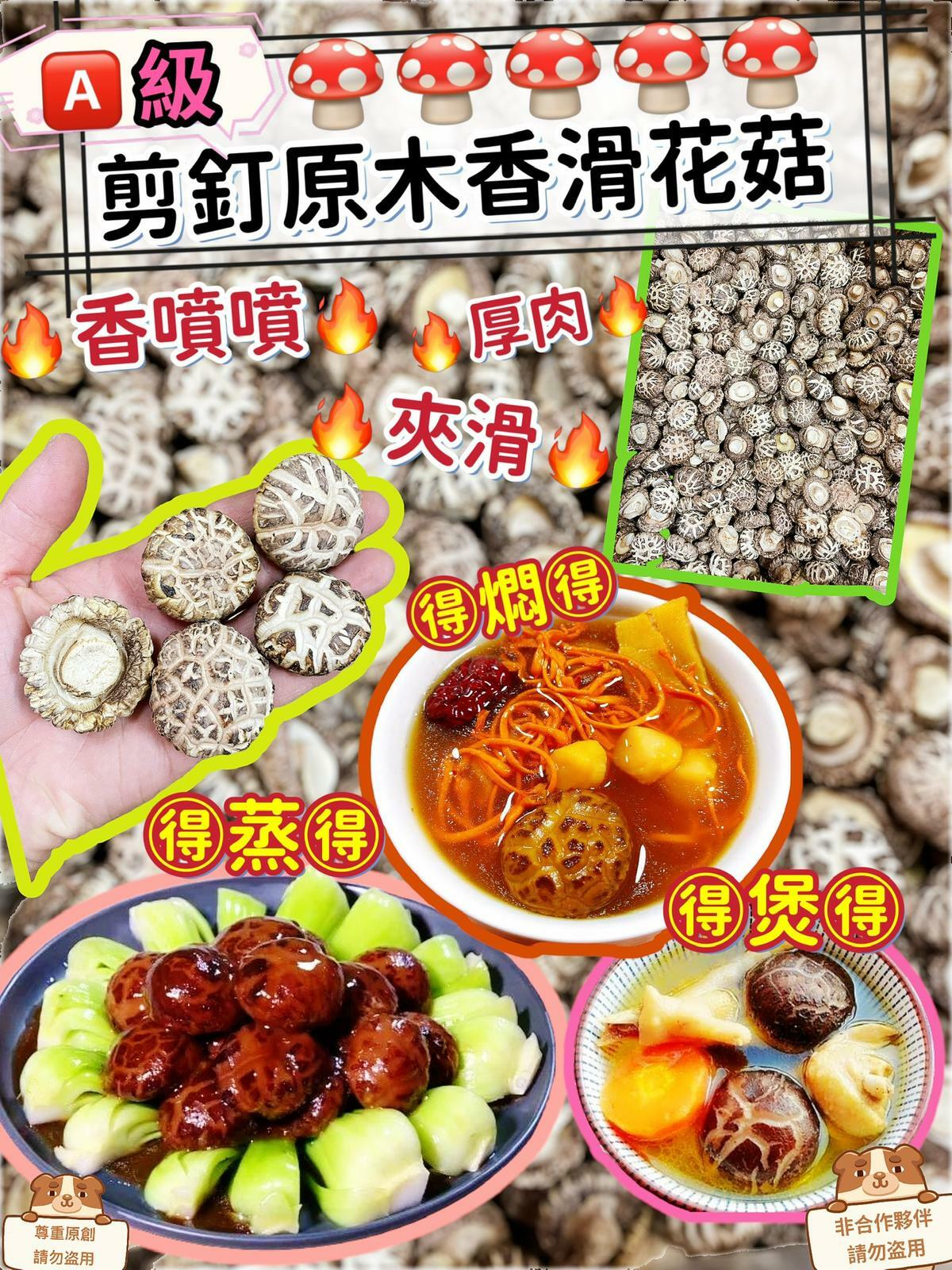 A 級剪釘原木香滑花菇