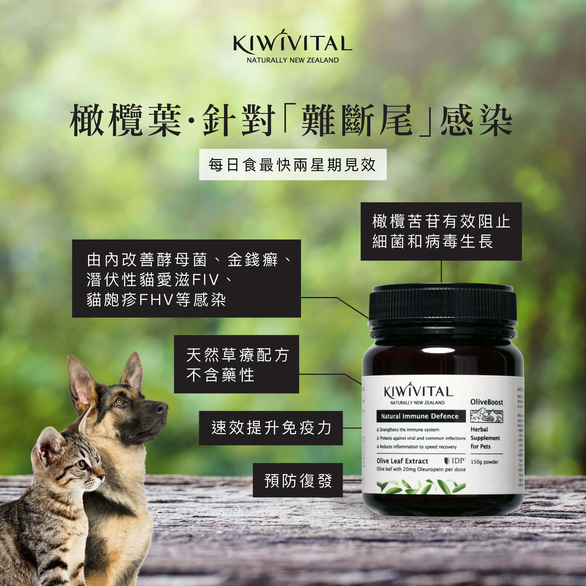 Kiwivital OliveBoost Herbal Therapy for pets 80g