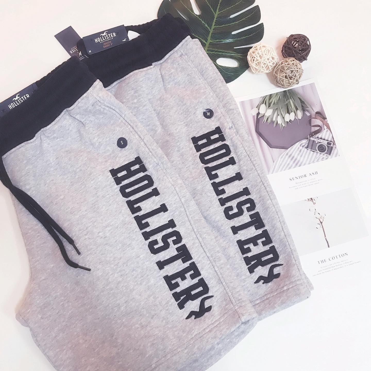 HOLLISTER LOGO SWEAT SHORTS