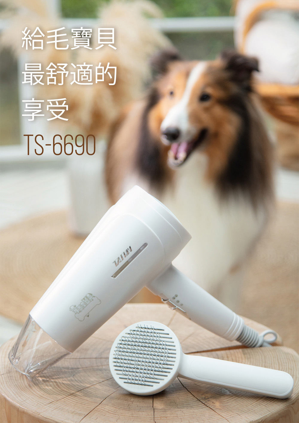 TASHIN 達新牌TS-6690 寵物專用吹風機銀離子抗菌光觸媒吹風機附寵物梳