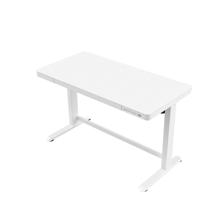 Electric Height Adjustable Standing Table